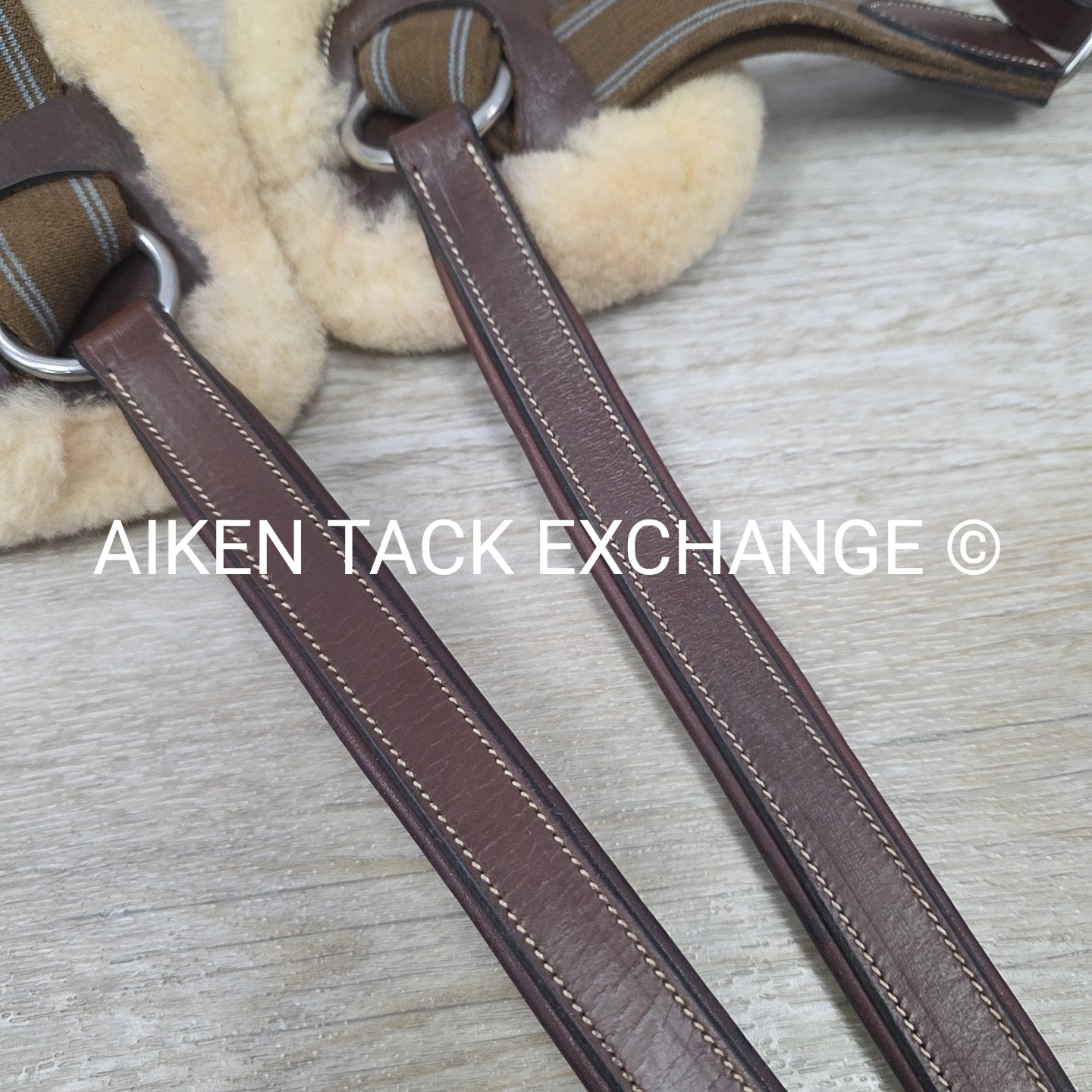 5 Point Elastic Breastplate, Brown, Size Cob