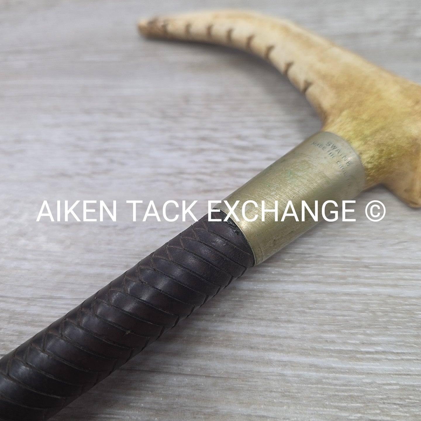 Men's Swaine Staghorn Hunt Whip with Thong / Lash