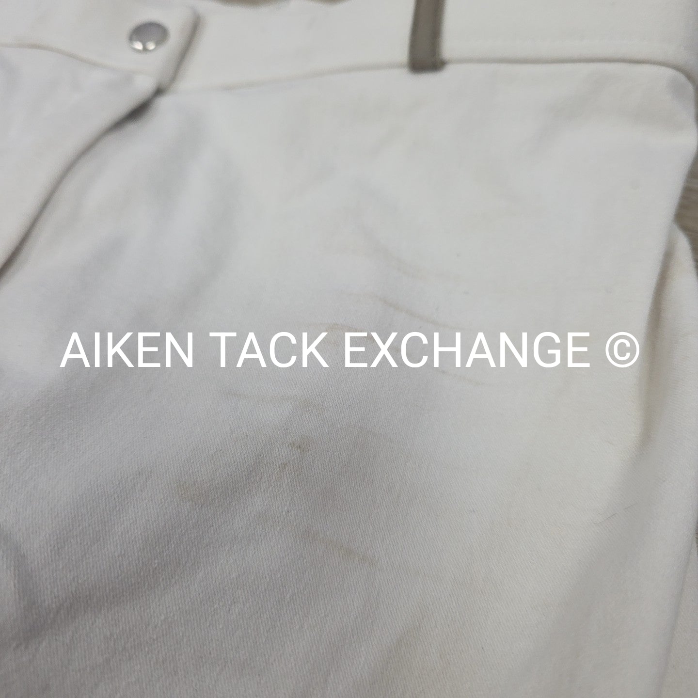 Cavallo Cara Full Seat Breeches, Women's 30 Long