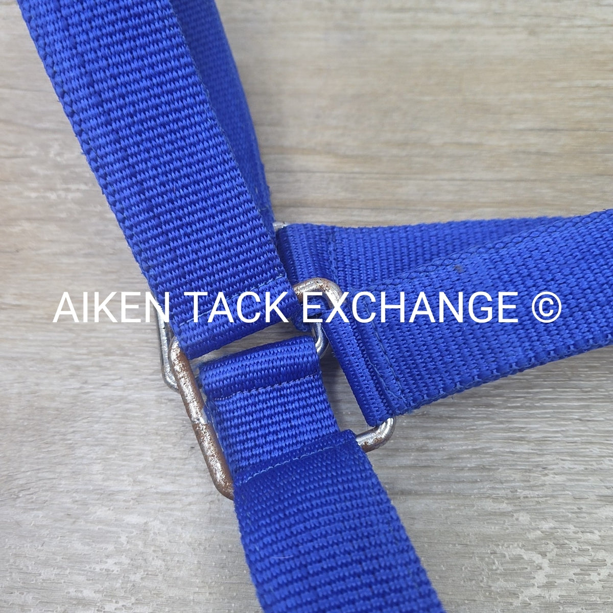 Nylon Halter, Draft