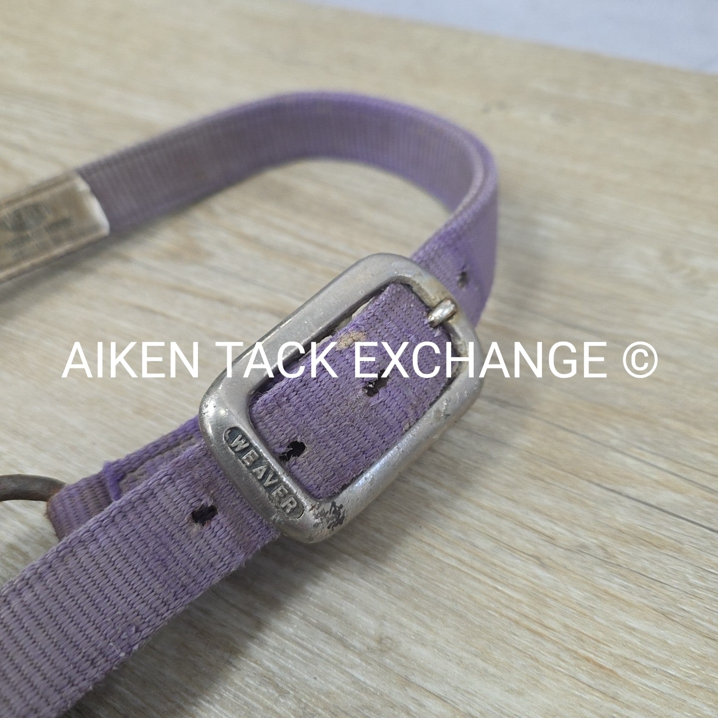 BARGAIN BUNDLE 4 Weaver Leather Nylon Halters, Size Horse