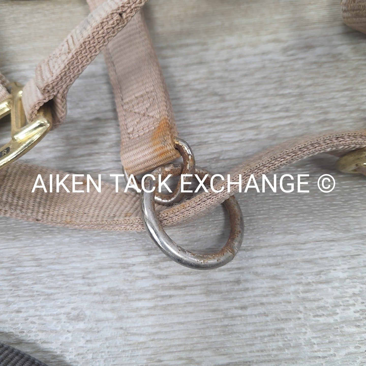 BARGAIN BUNDLE 4 Weaver Leather Nylon Halters, Size Large Horse