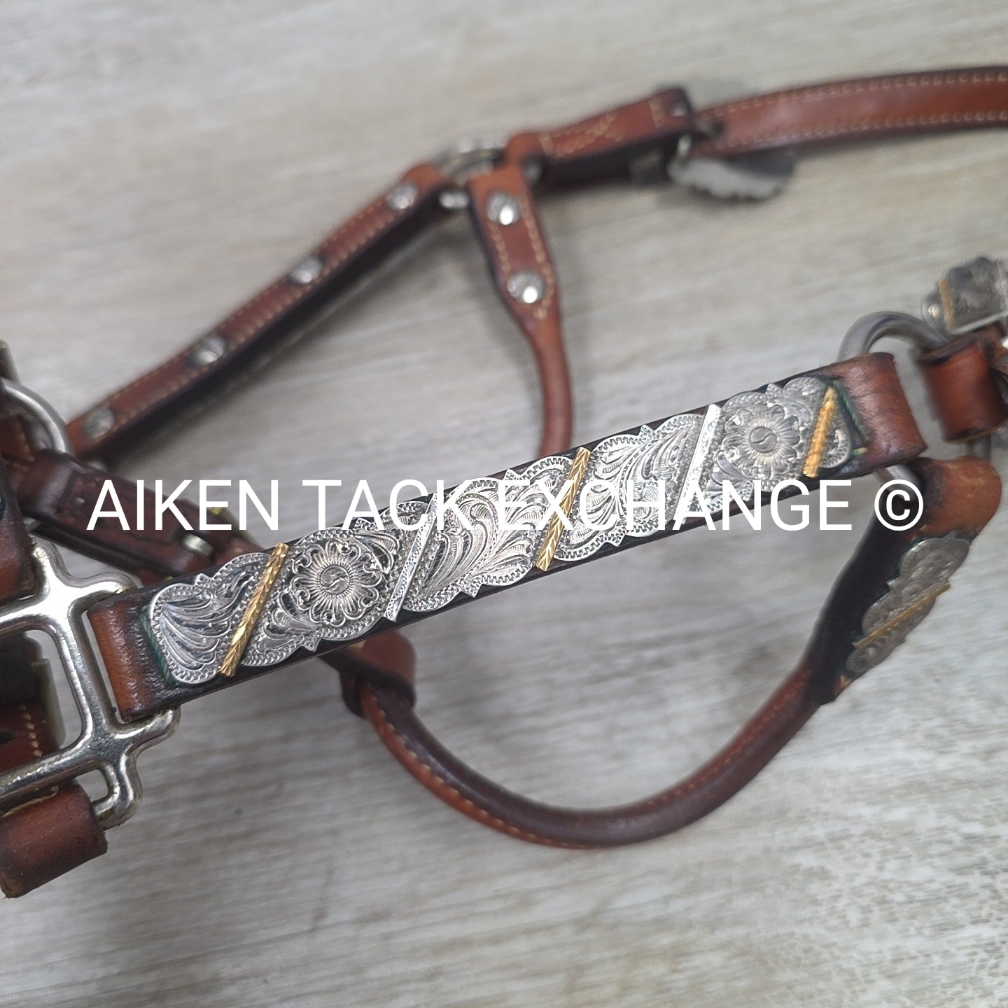 Western Show Halter, Size Foal