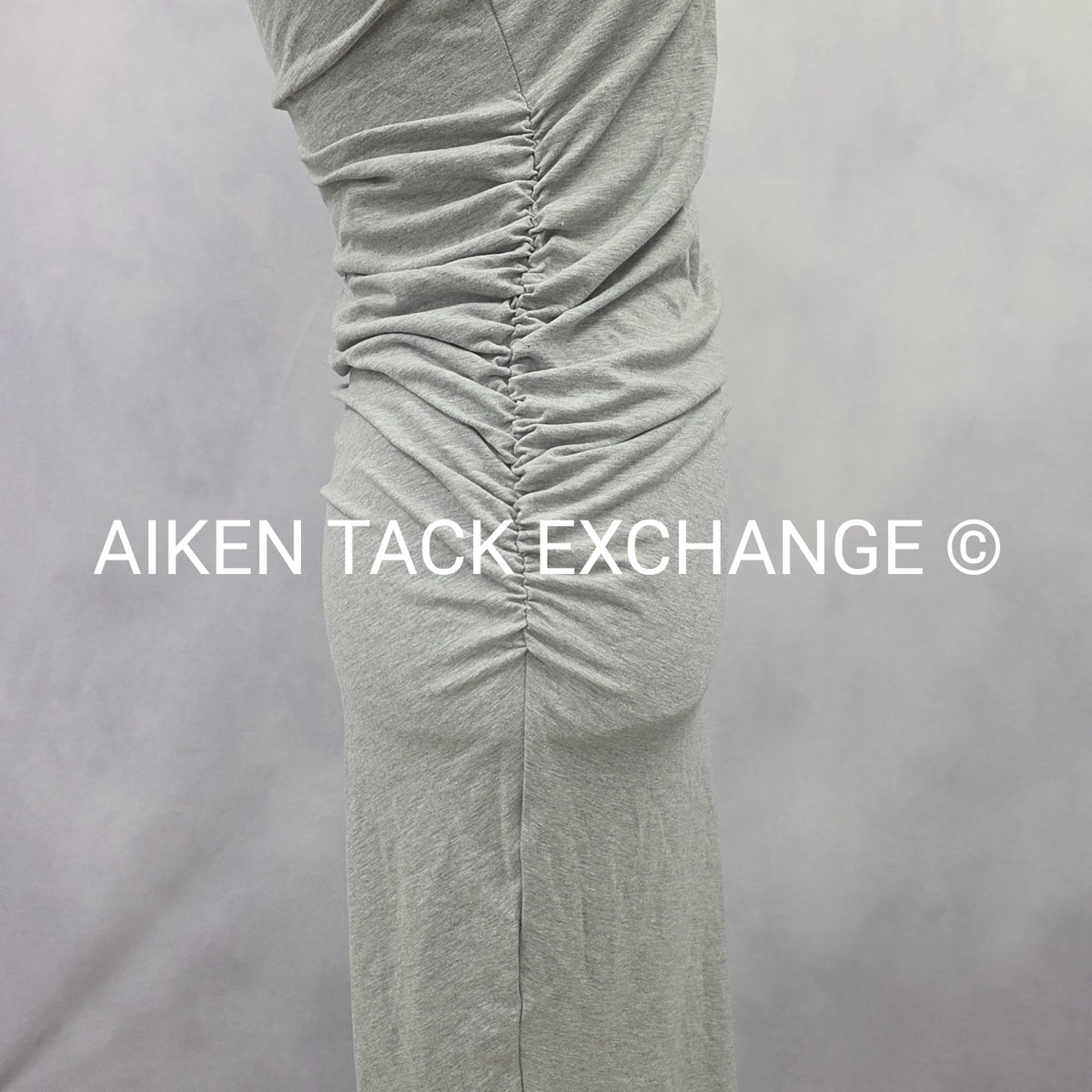 Venus T-Shirt Dress, Size X-Small