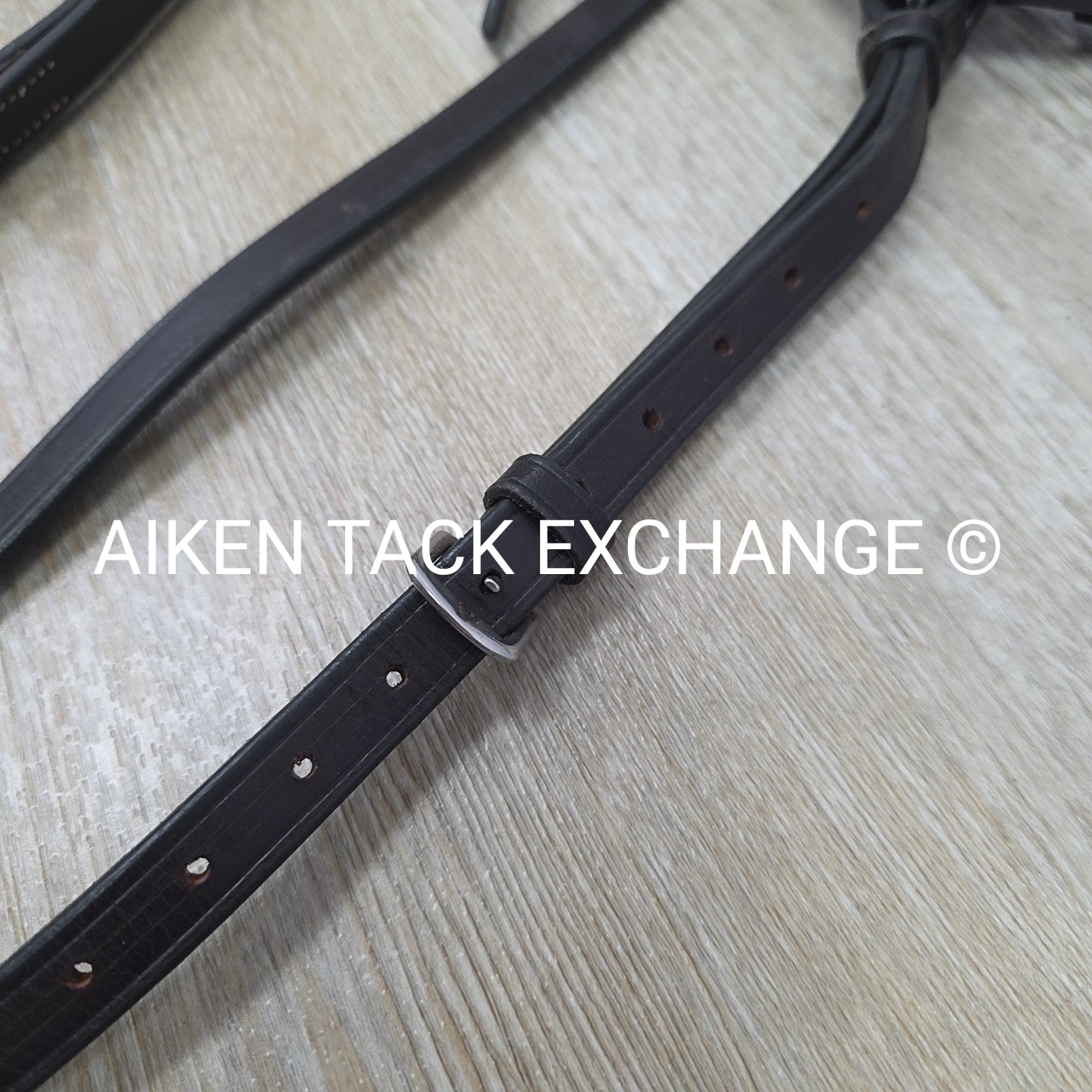 Flat Adjustable Breastplate with Standing Martingale Attachment, Brown, Cob