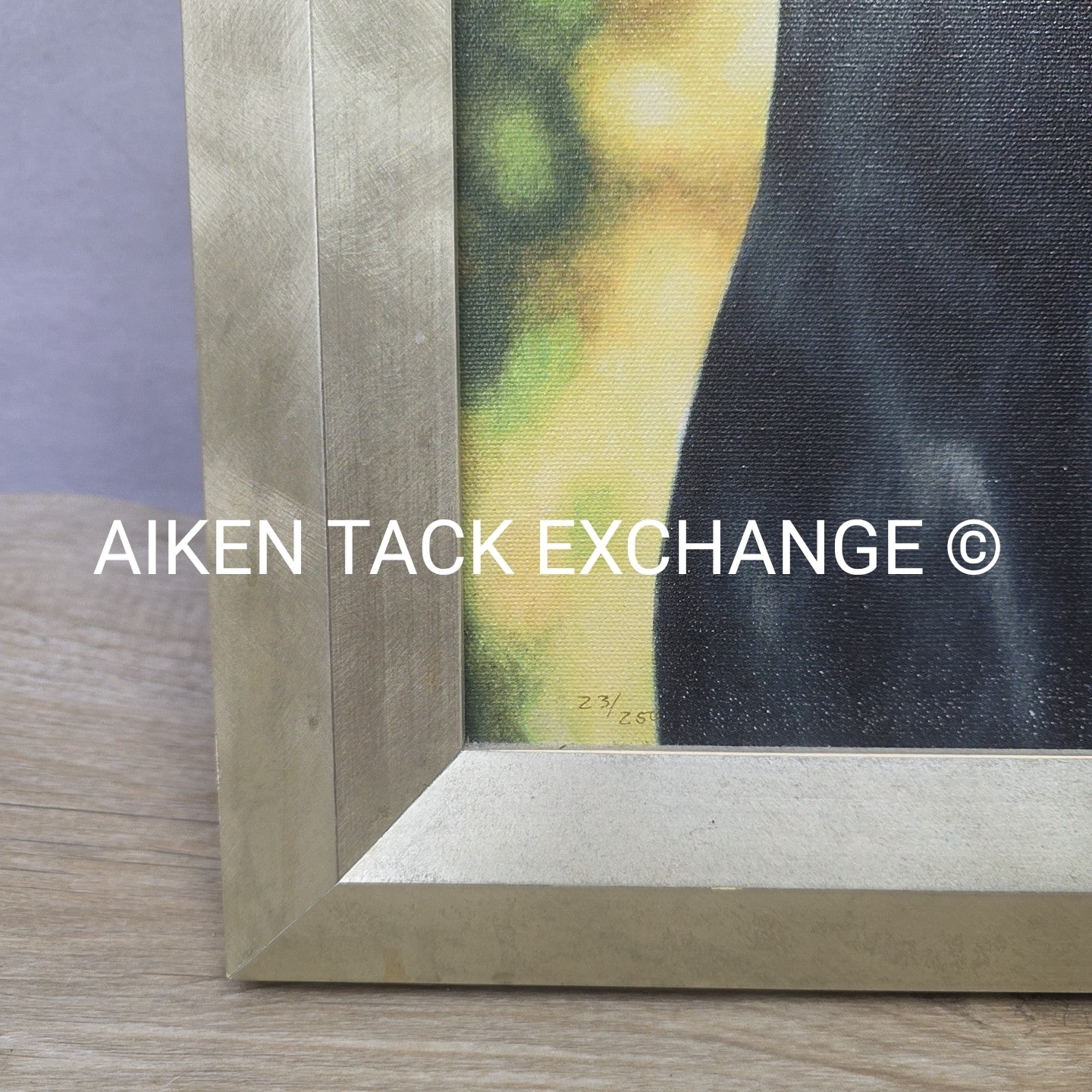 Horse Print on Canvas, 25.5" x 31.5"