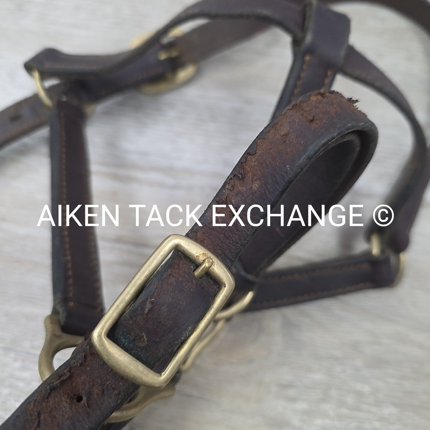 Leather Halter, Brown, Size Pony
