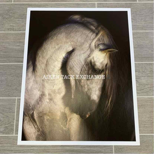 Nobility Print
