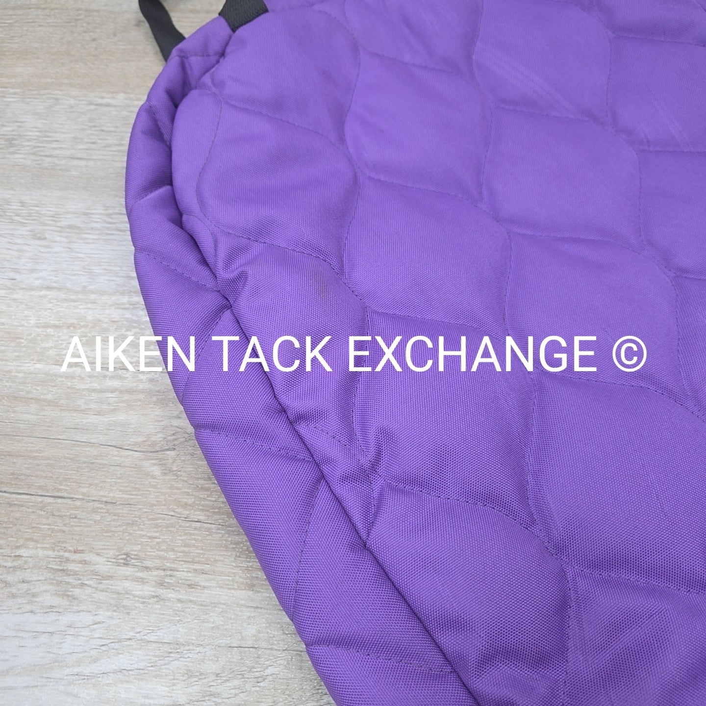 Padded Bridle Bag