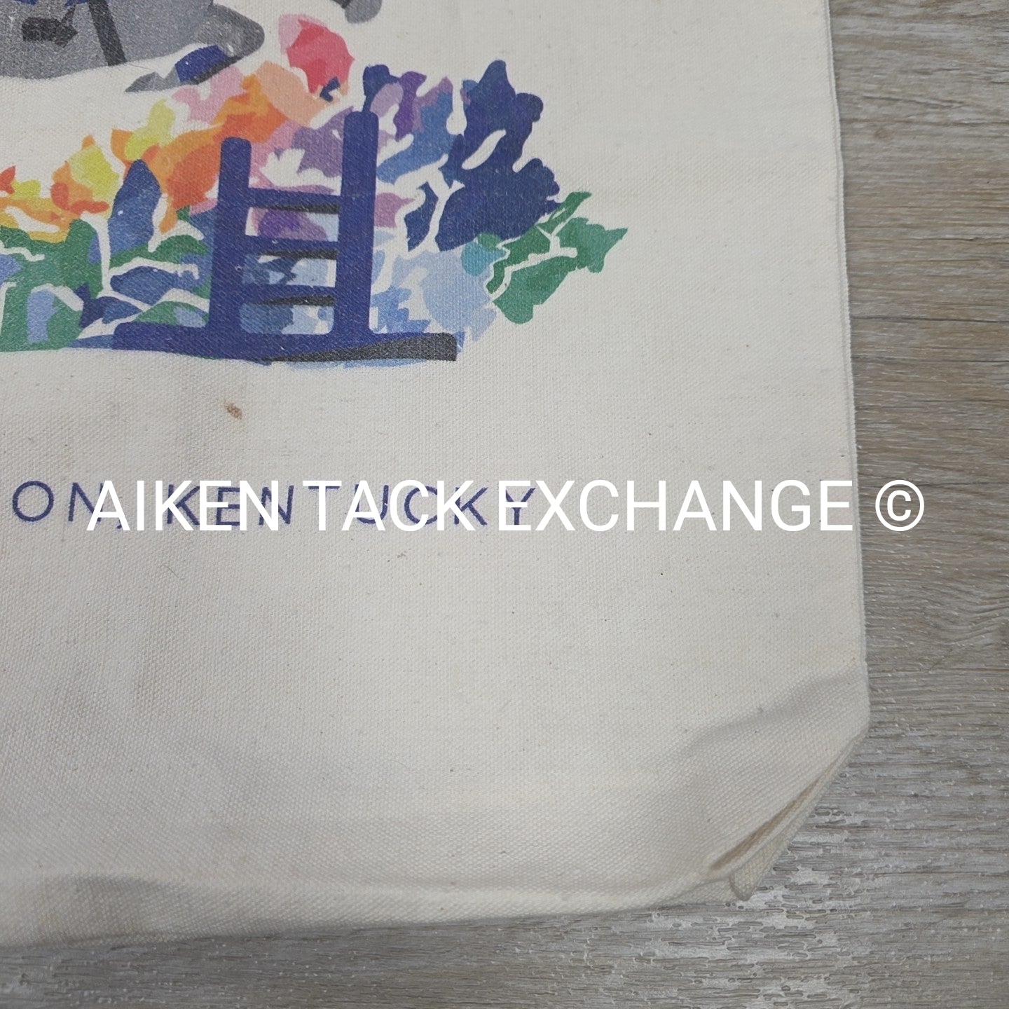 Lexington KY Small Tote Bag