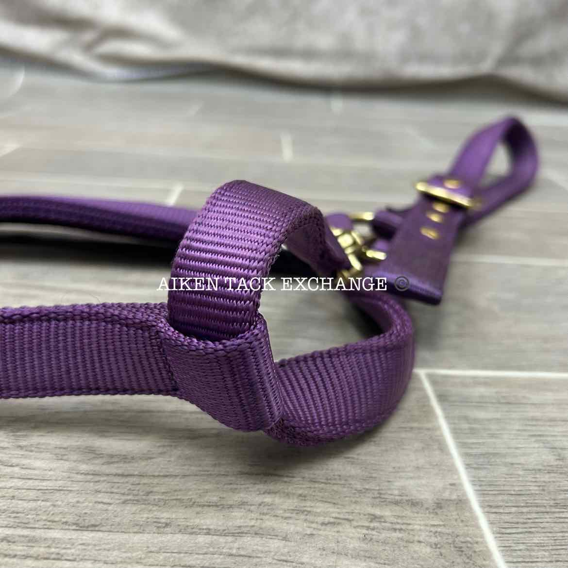 Dover Saddlery Heavy Nylon Halter, Oversize