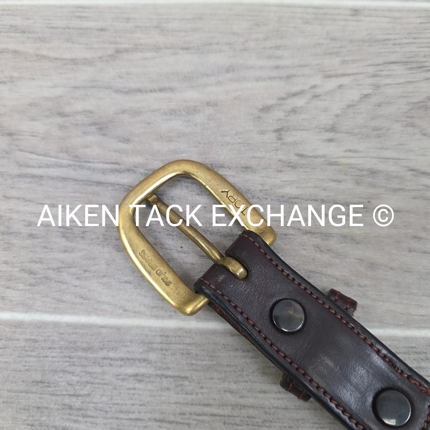 Tory Leather Brass Clincher Belt, Medium