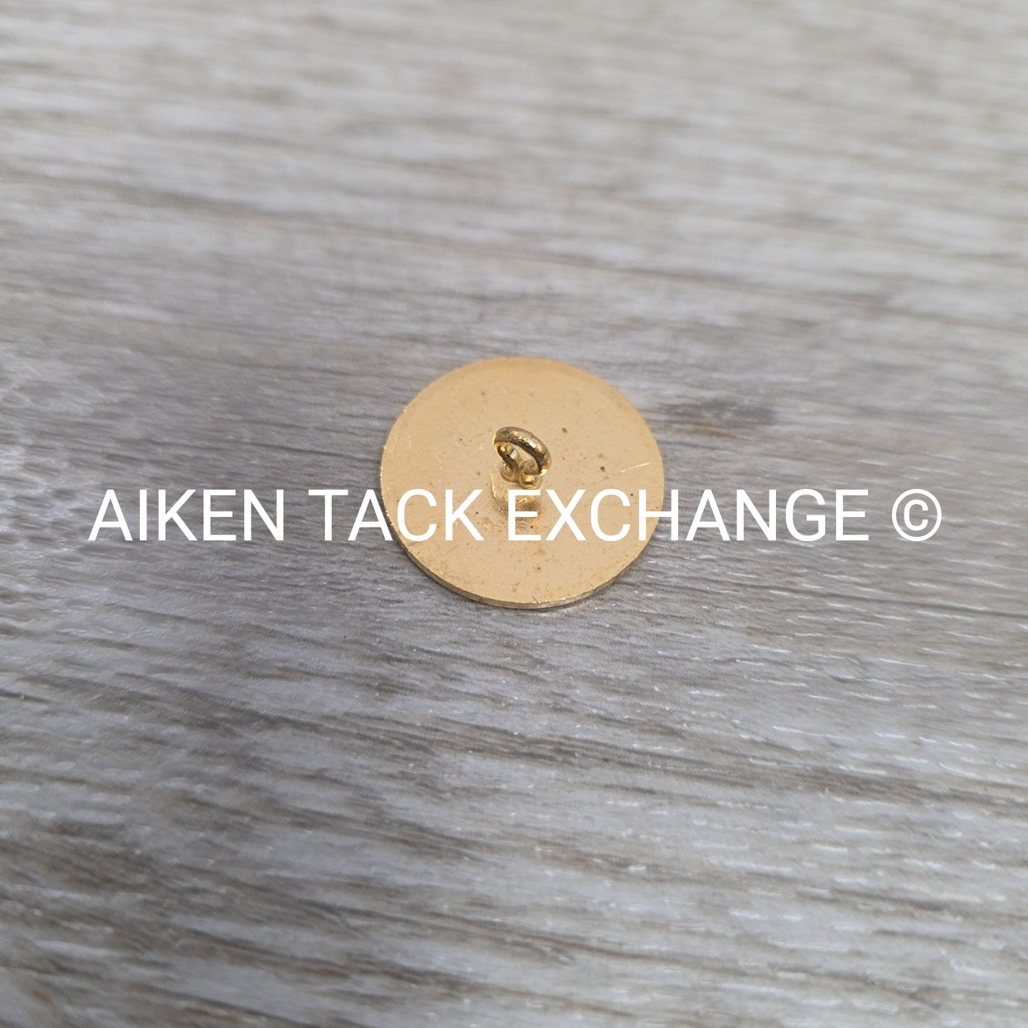 Tryon Hounds Brass Button, Large