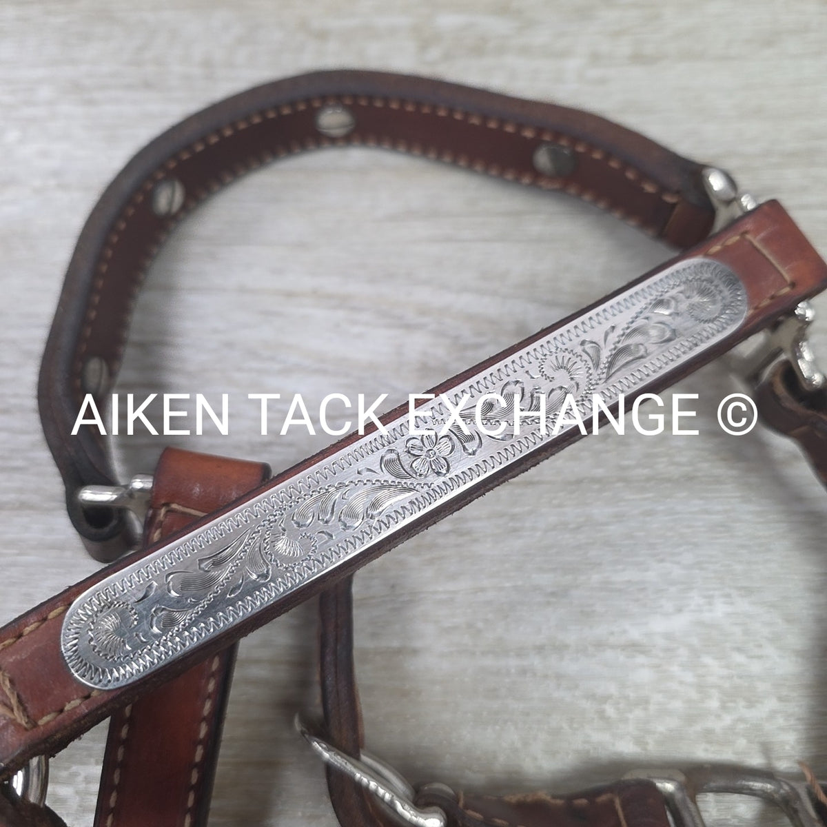 Western Show Halter, Size Foal