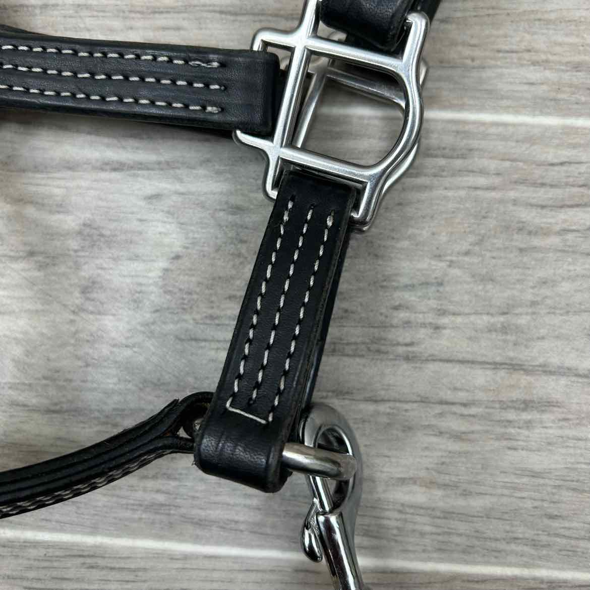 Green Hill Collection Leather Halter with Matching Lead, Size Foal / Mini