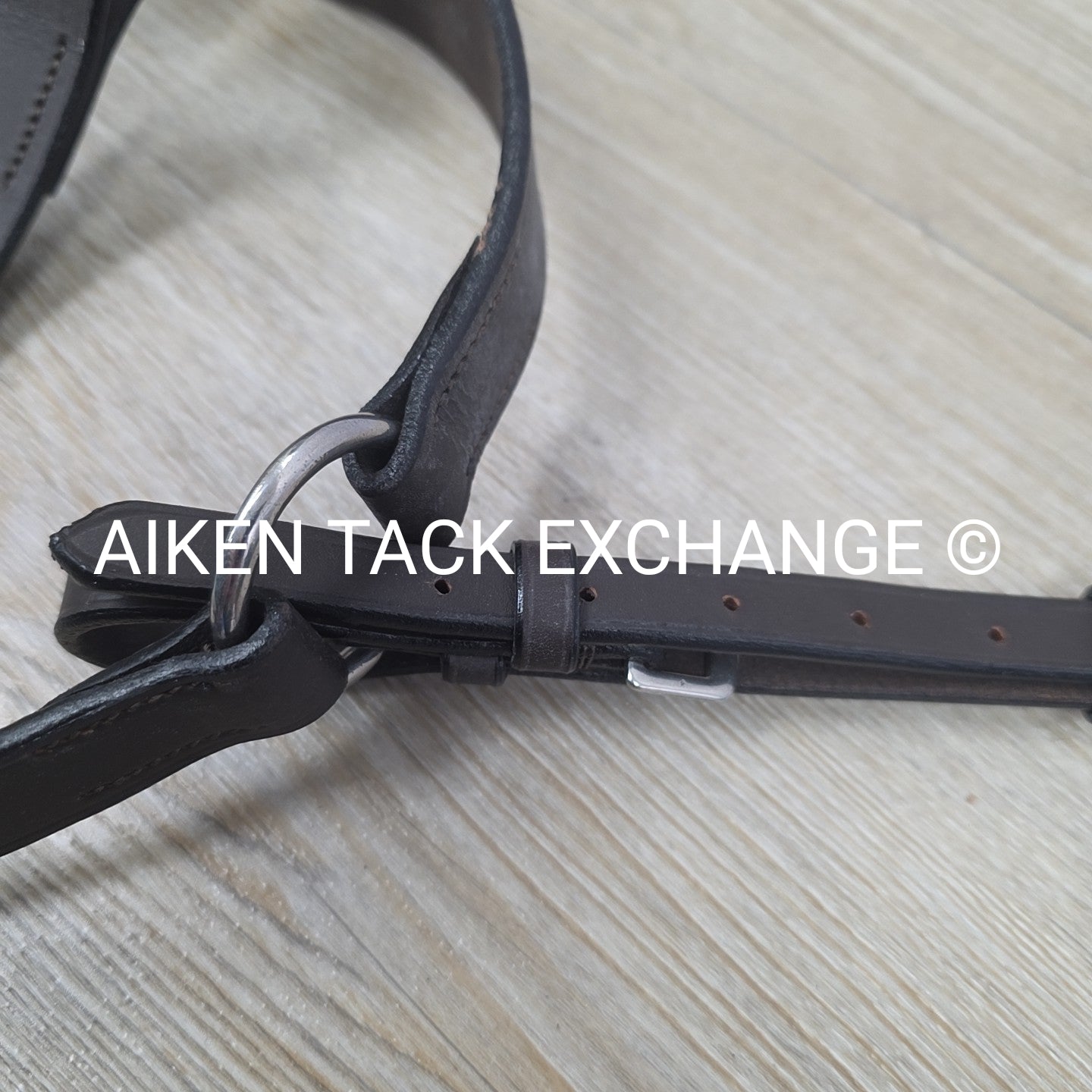 HDR Flat Breastplate with Standing Martingale Attachment, Havana, Oversize