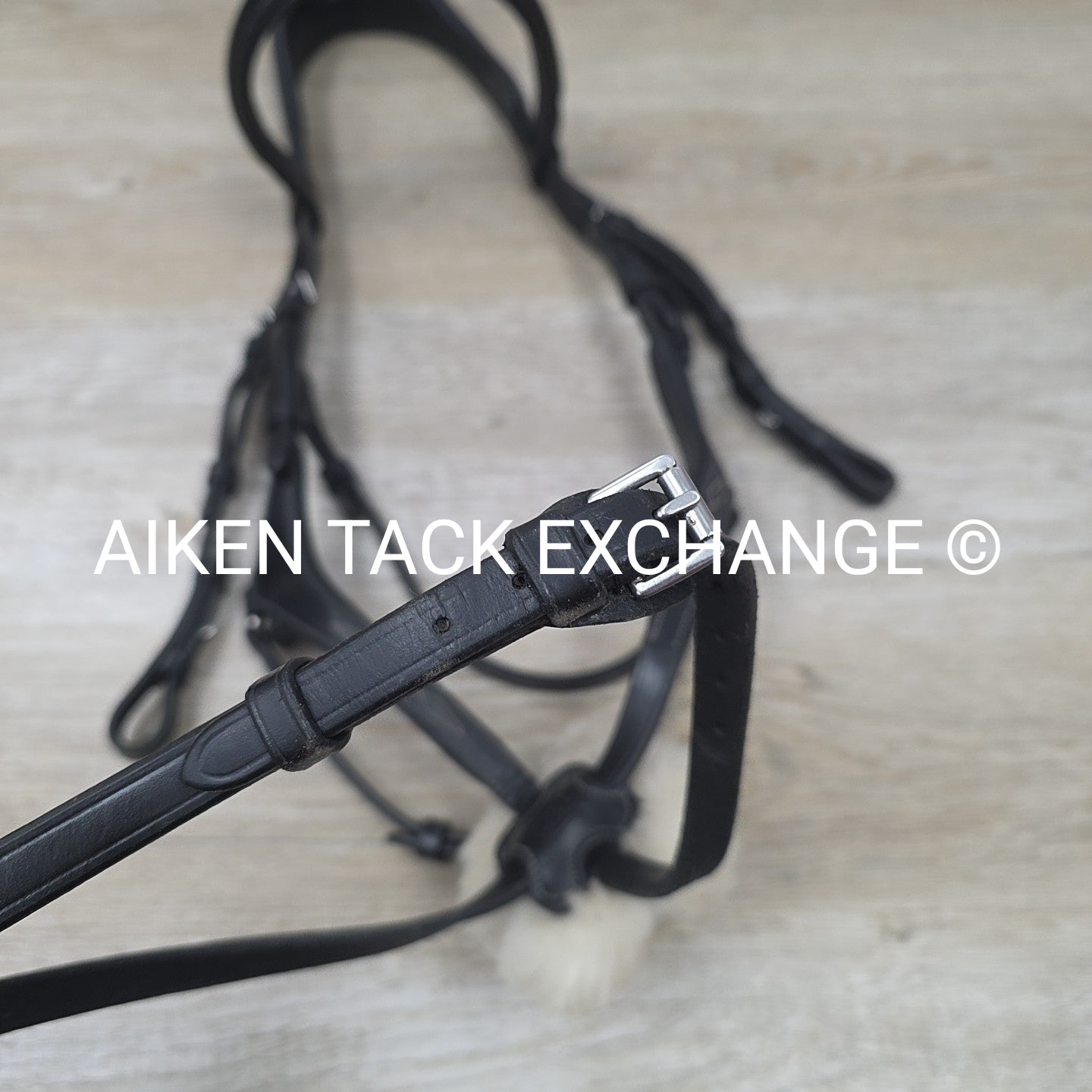 LeMieux Kudos Grackle Figure 8 Bridle, No Reins, Black, Size Full