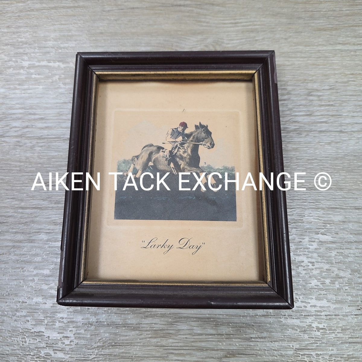 Larky Day Framed Print, 5" x 5"