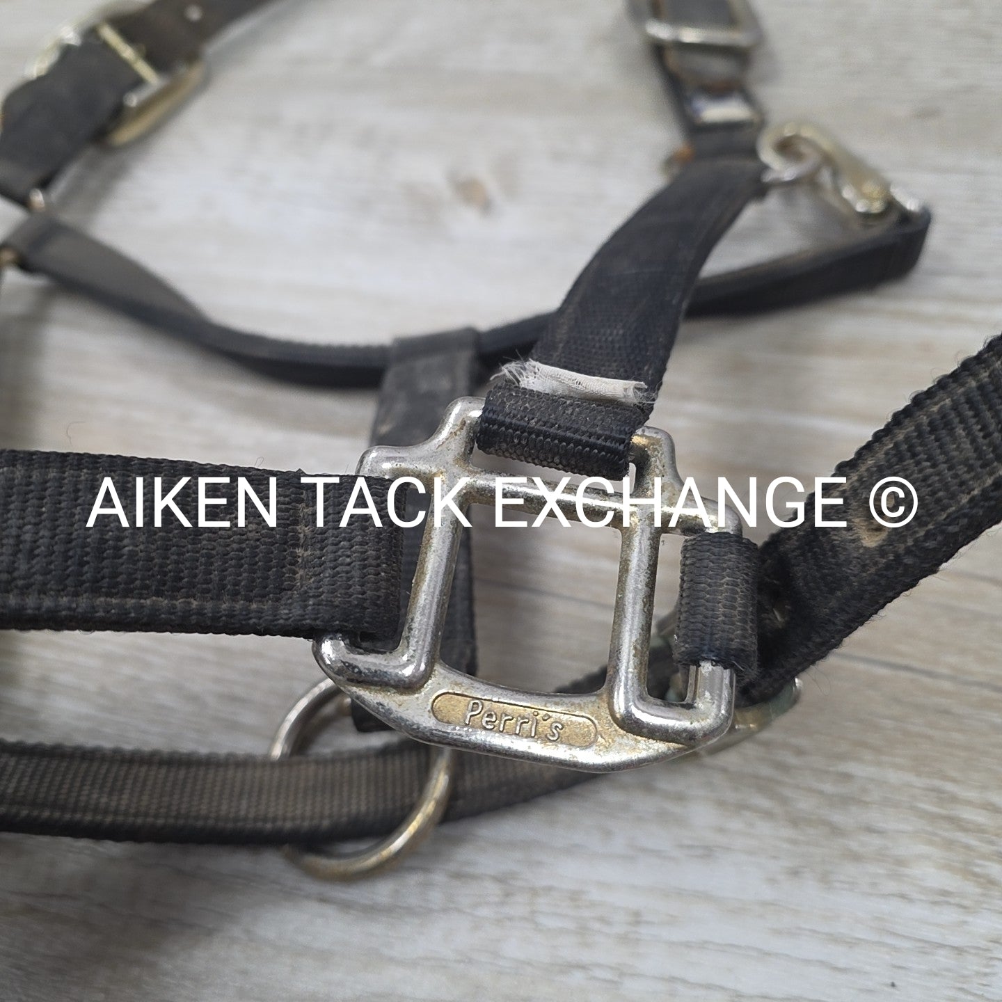 BARGAIN BUNDLE: Perri's Breakaway Halter, & Web Halter, Size Full