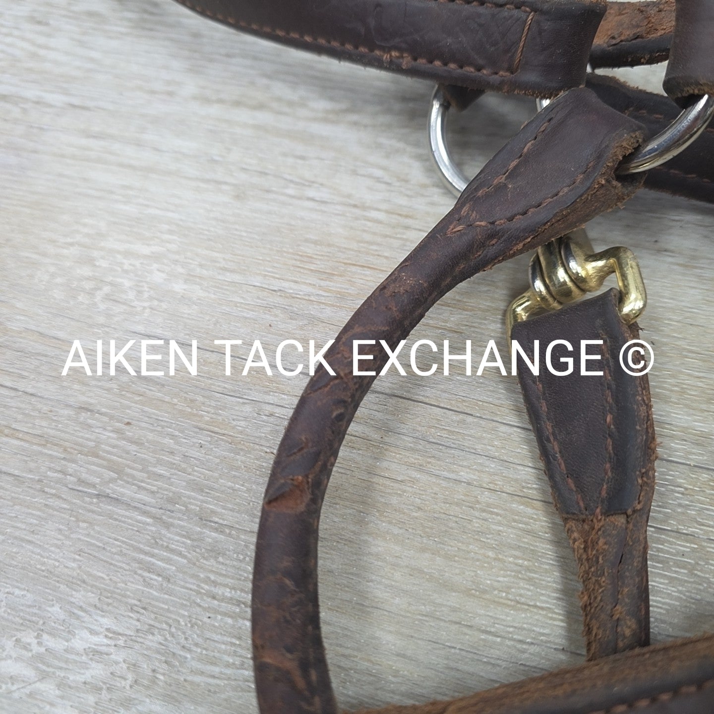 BARGAIN BUNDLE: Leather Halter & Nylon Halter, Size Full