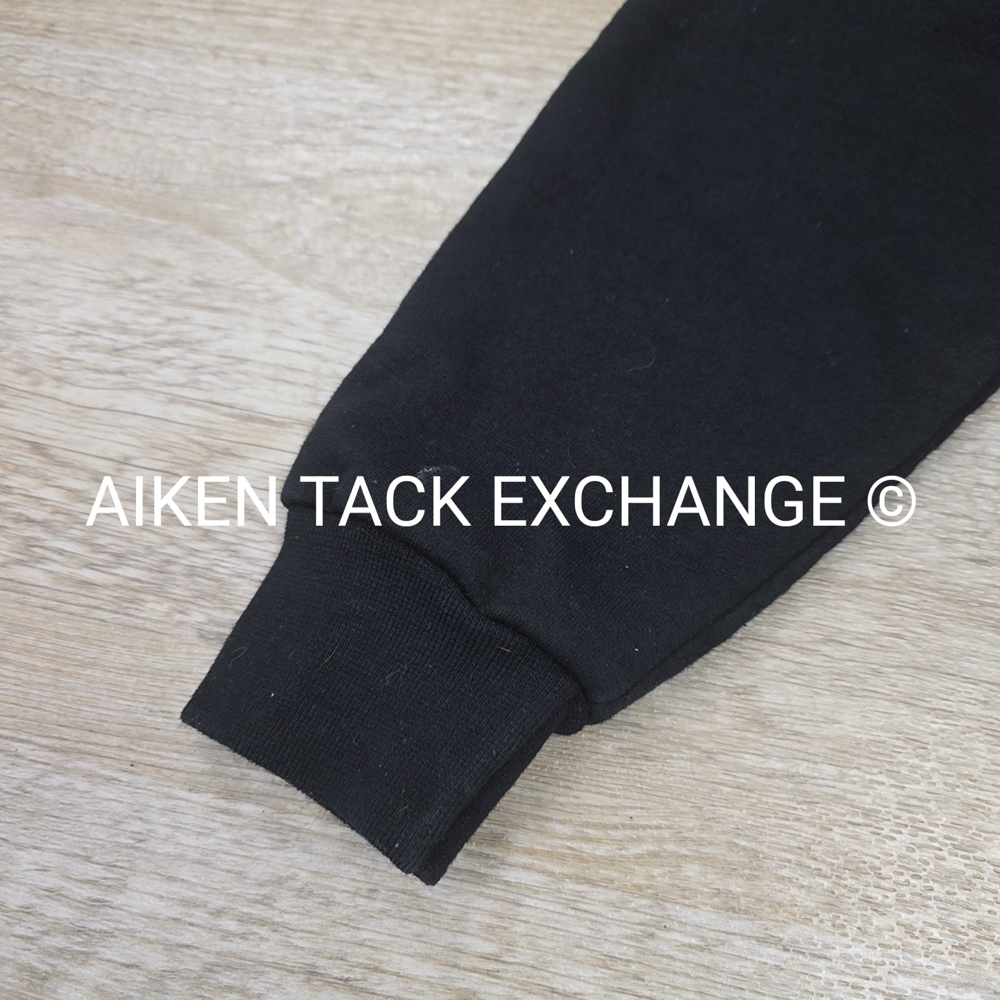 Champion horseflight.com Hoddie, Size Medium