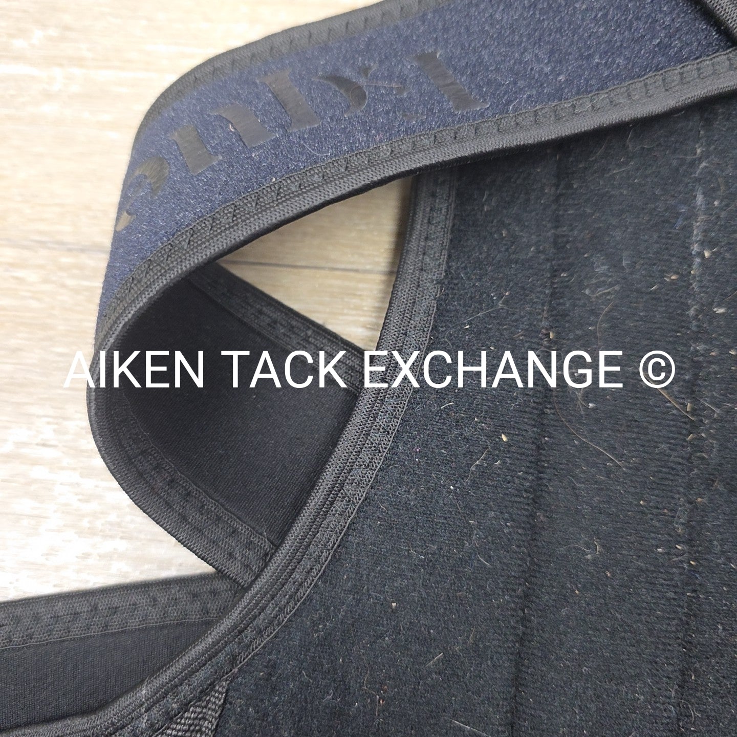 Equestorian Back Brace, Size Large