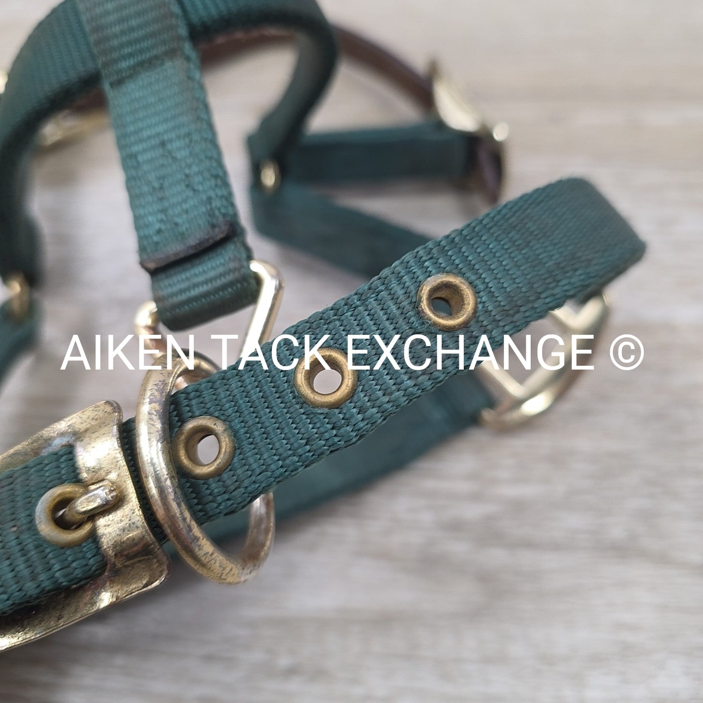 Hamilton Nylon Breakaway Halter, Size Foal