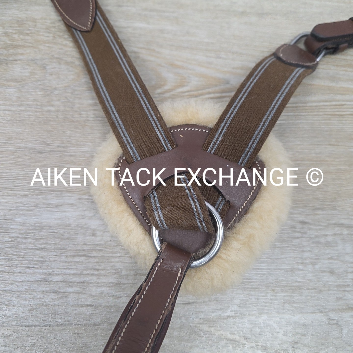 HDR Pro 5 Point Elastic Breastplate, Brown, Size Full