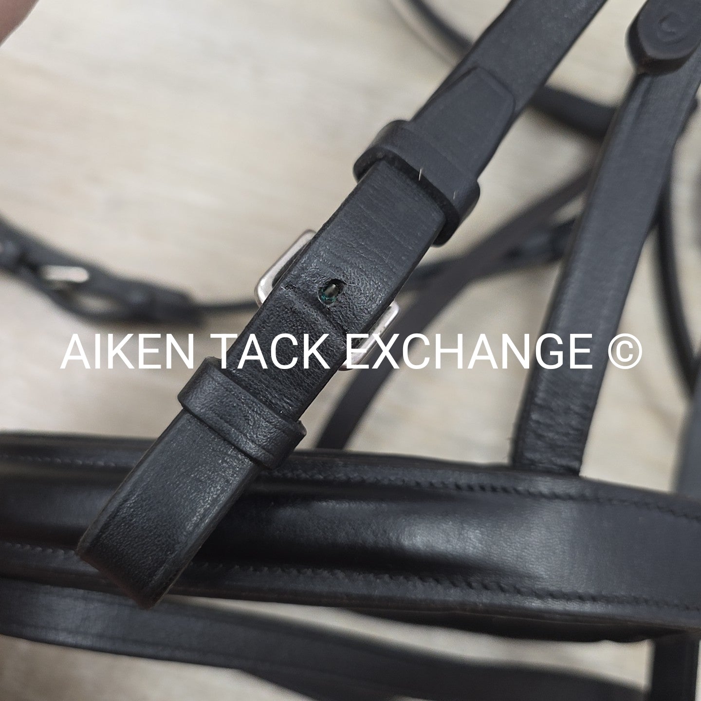 Passier Flash Bridle with Matching Cotton Web Reins, Black, Size Cob