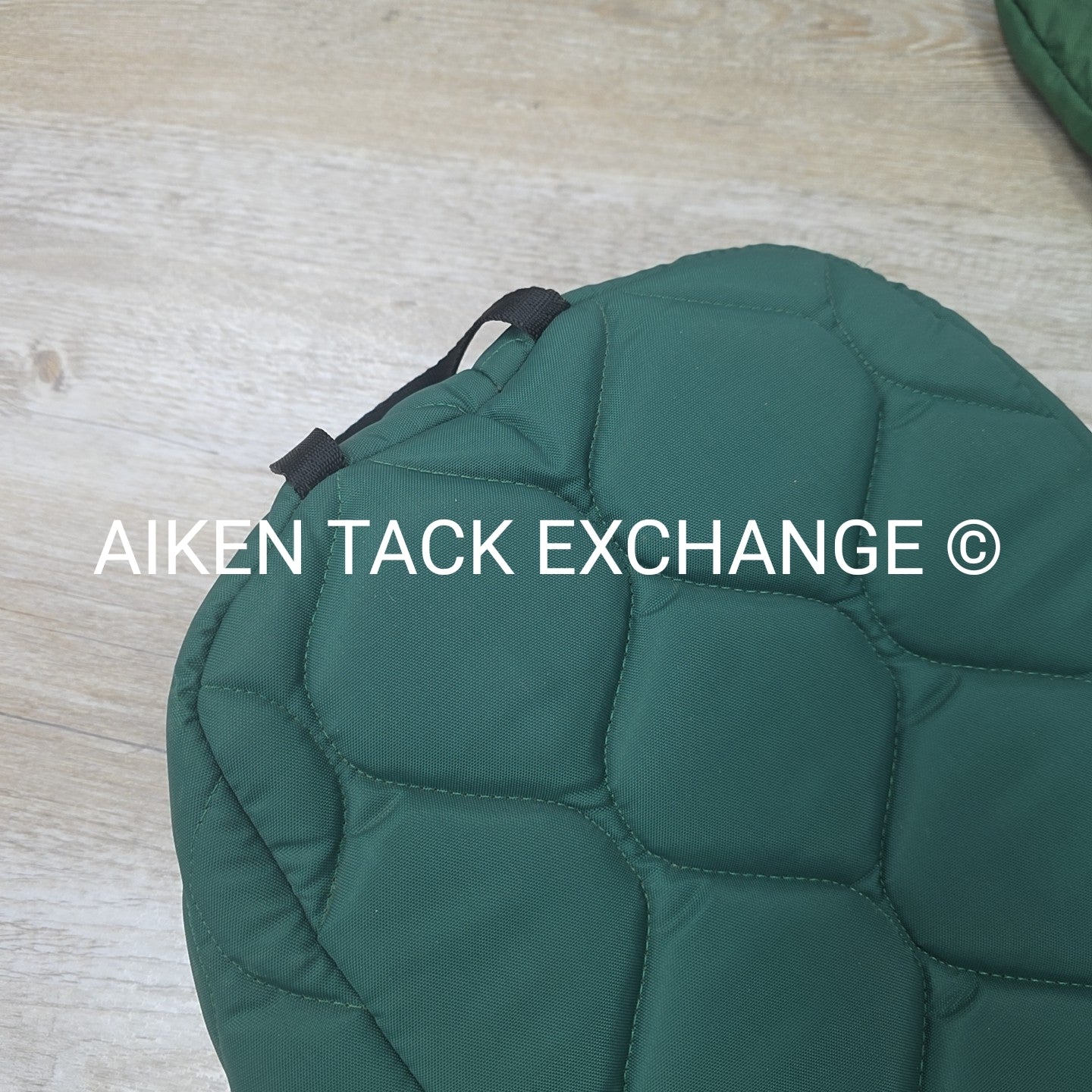 BARGAIN BUNDLE: 2 Bridle Storage Bags