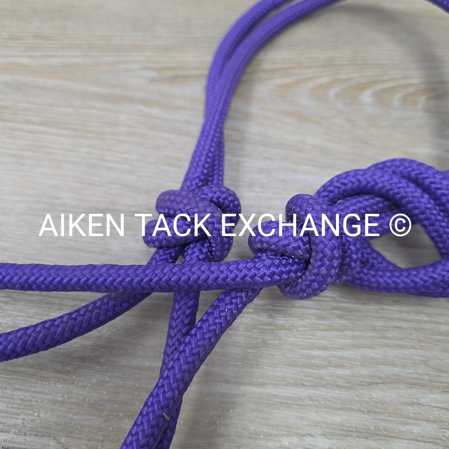 Rope Halter with Lead