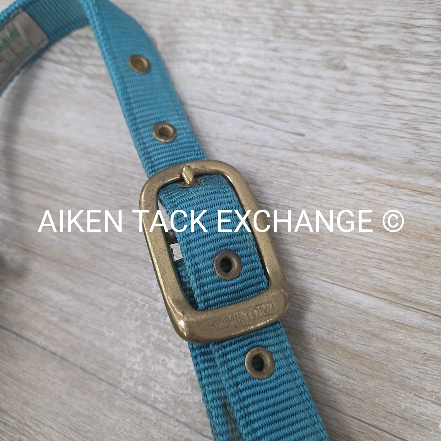 BARGAIN BUNDLE: 3 Nylon Halters, Various Sizes