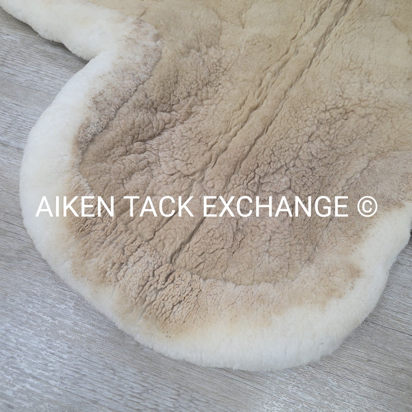 Fleeceworks Classic Dressage Pad with Full Sheepskin Trim, Large