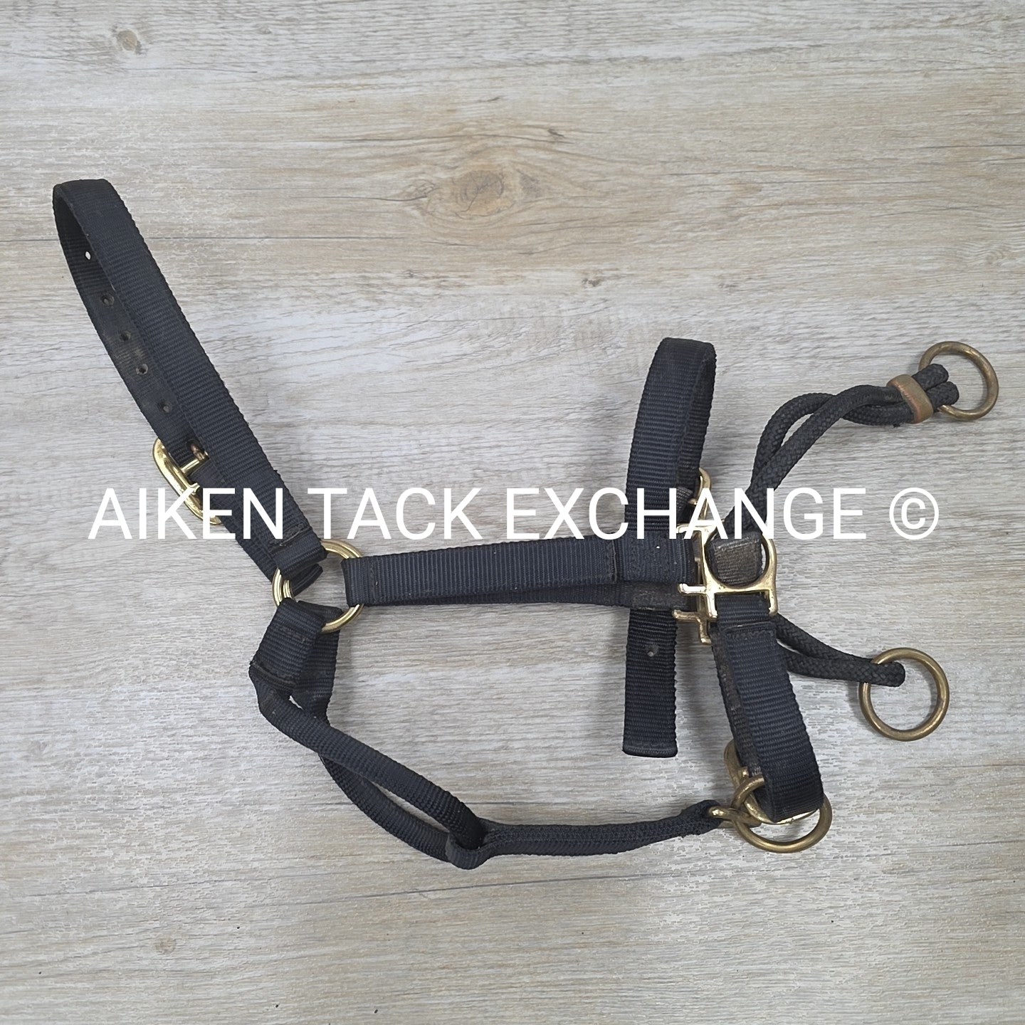 Monty Roberts Dually Schooling Halter, Size Full