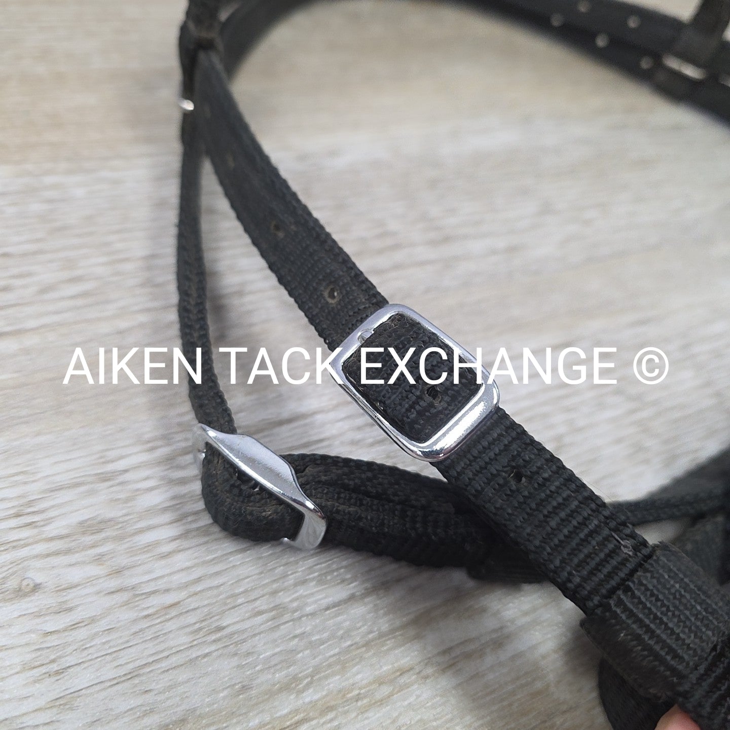 BARGAIN BUNDLE: Nylon Side Pull Bridle with Braided Nylon Breastplate