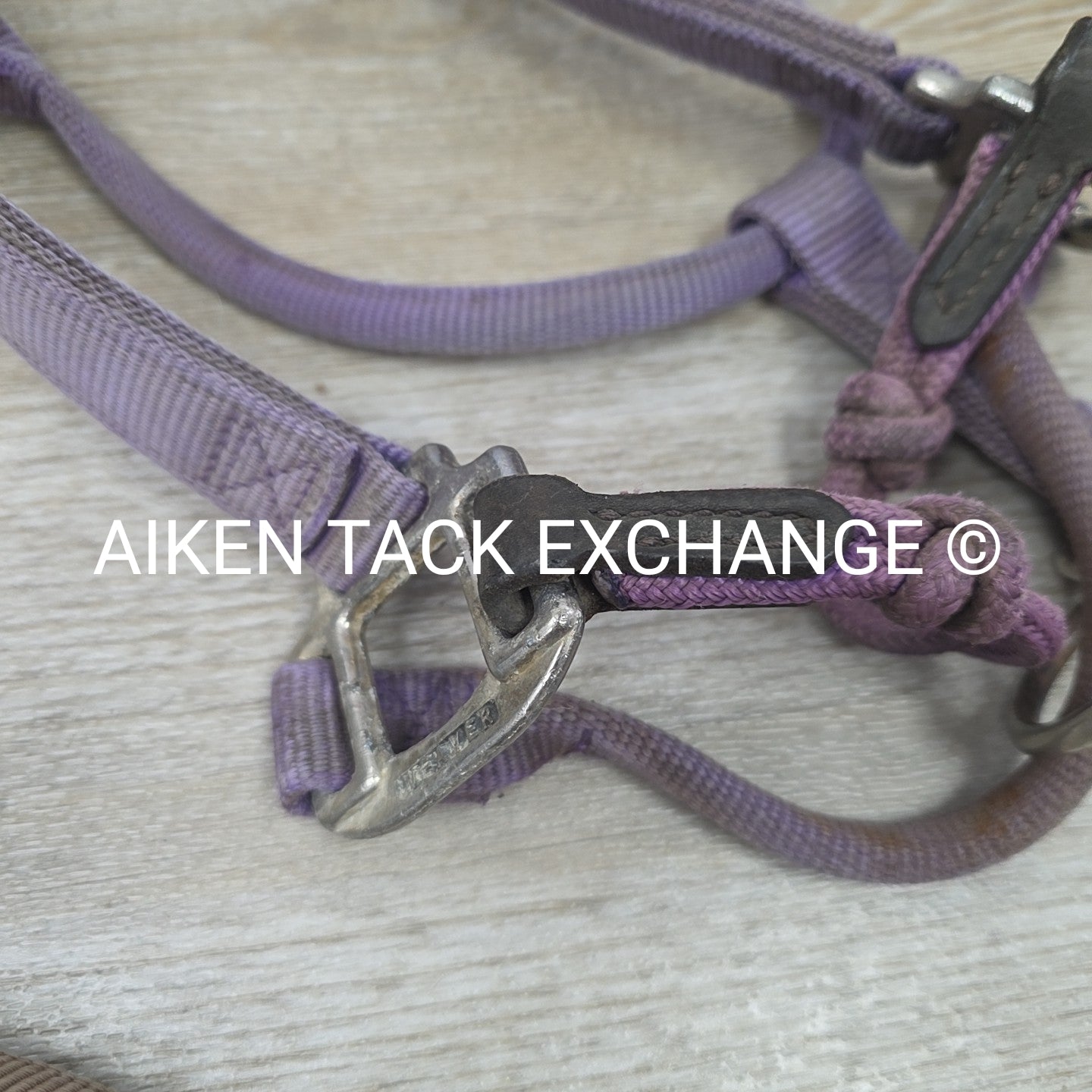 BARGAIN BUNDLE 4 Weaver Leather Nylon Halters, Size Horse