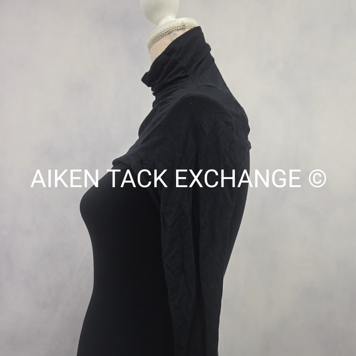 Venus Long Sleeve Dress, Size X-Small
