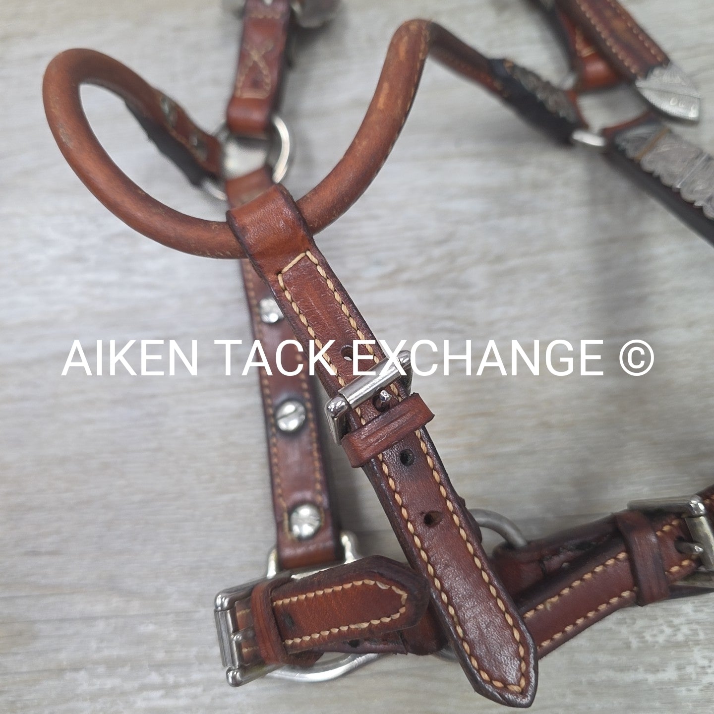 Western Show Halter, Size Foal
