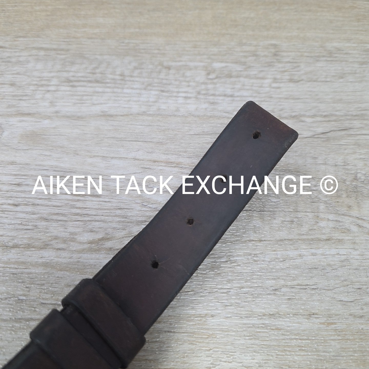 Horse Country First Flight Standing Martingale, Brown, Oversize