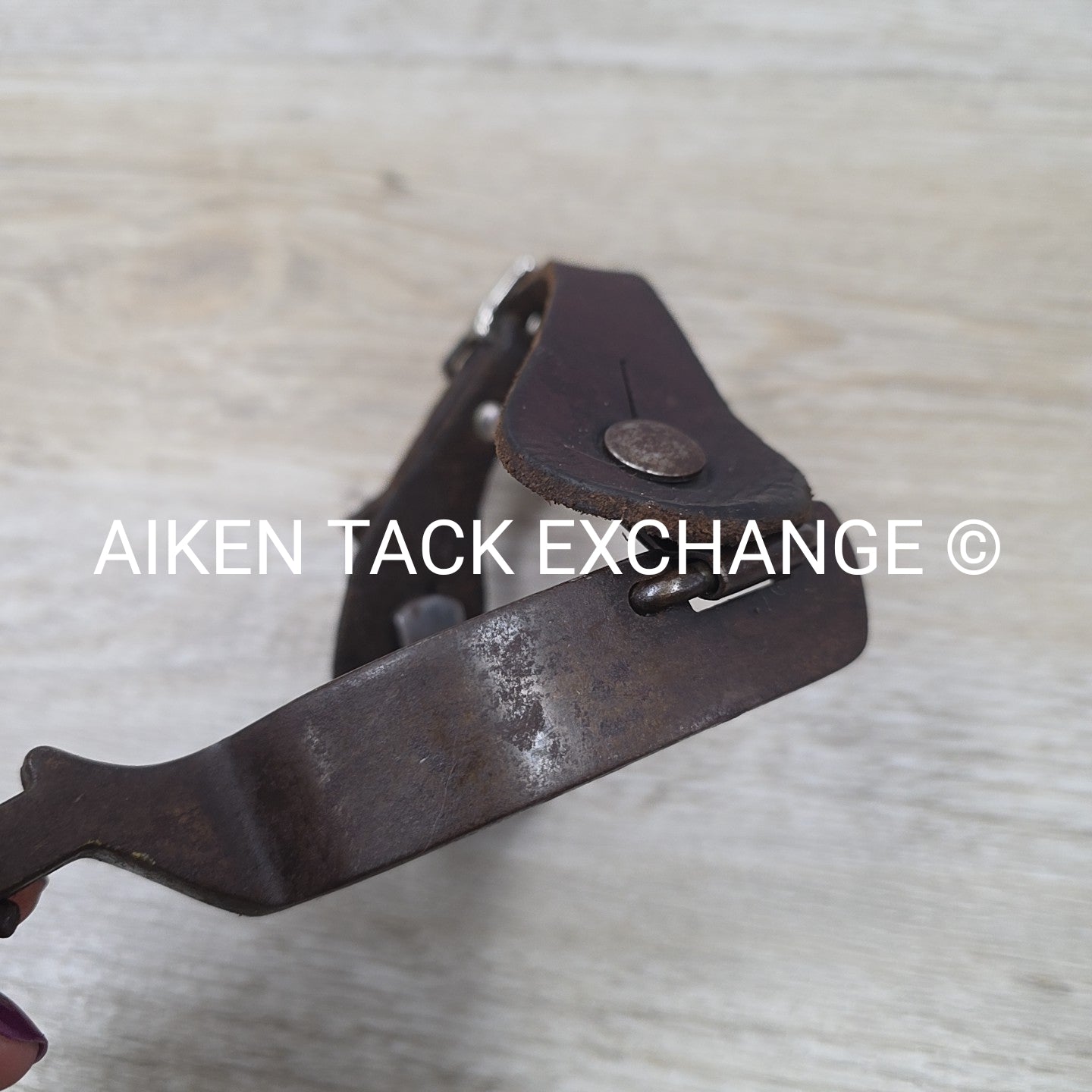 Classic Equine Cowboy Series Spurs with Chap Guard & Leather Spur Straps