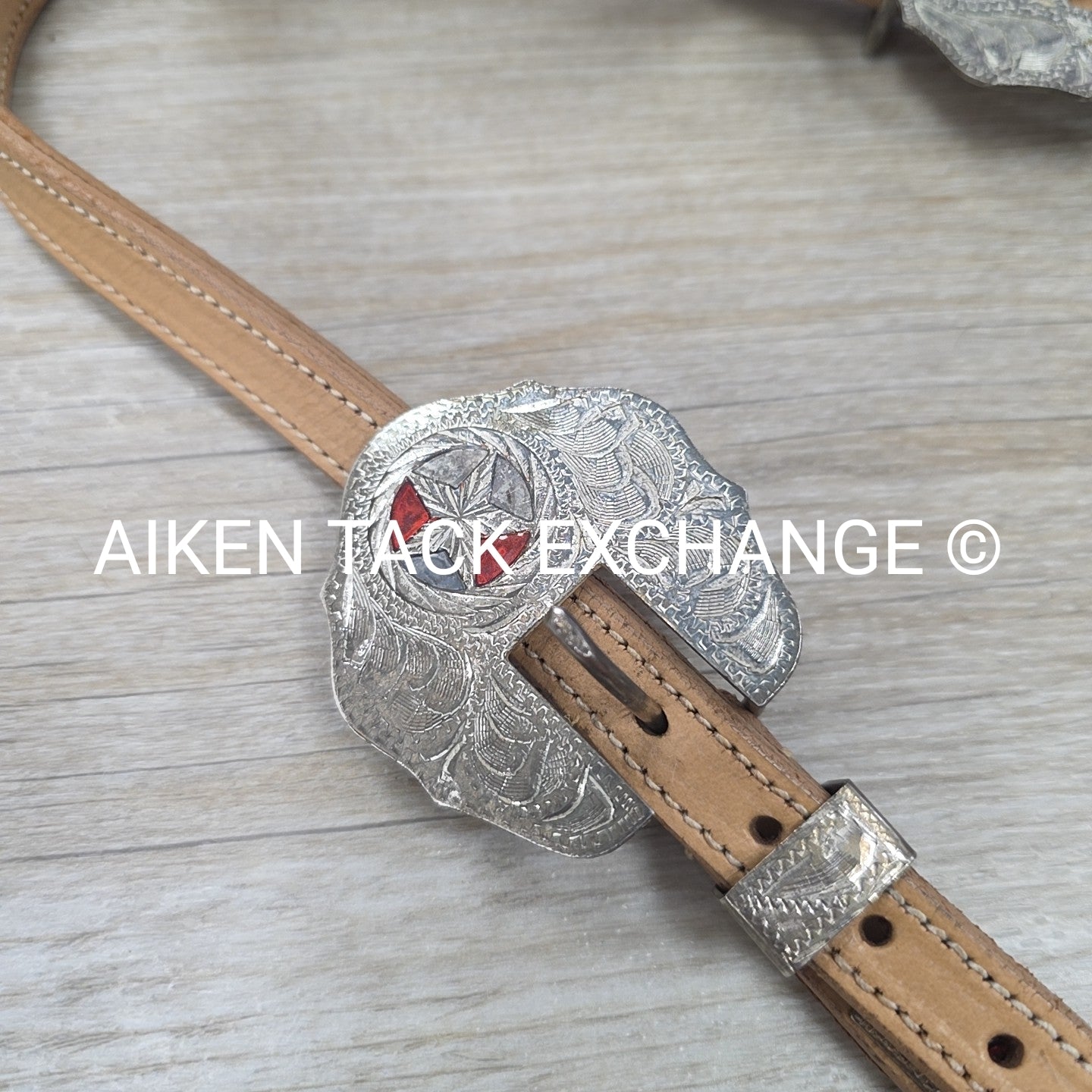 Western One Ear Head Stall with Matching Split Reins
