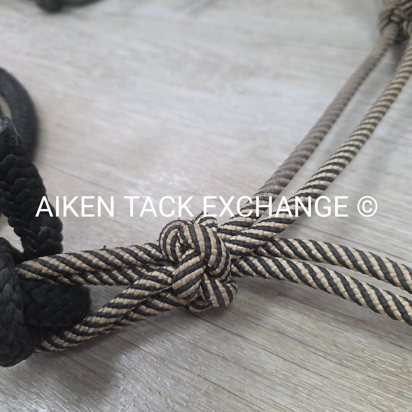 BARGAIN BUNDLE: 3 Rope Halters, 1 with Lead