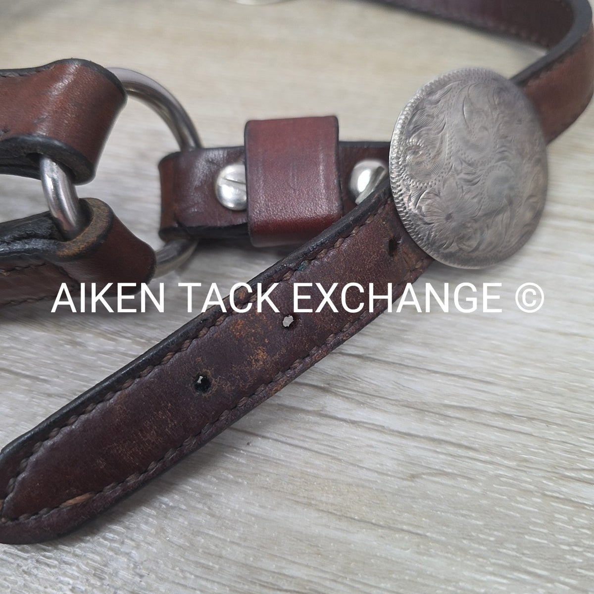 Western Show Halter, Size Foal