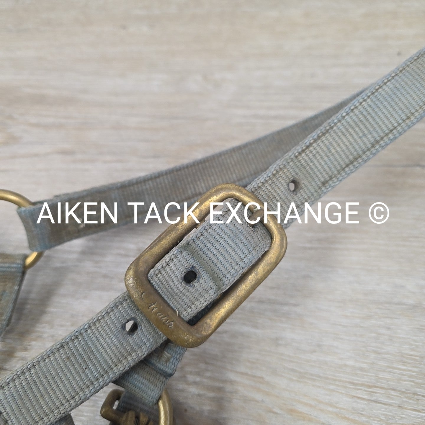 BARGAIN BUNDLE 5 Weaver Leather Nylon Halters, Size Horse