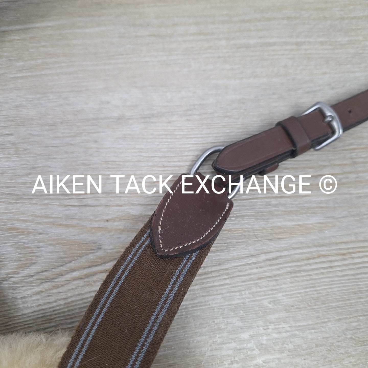 HDR Pro 5 Point Elastic Breastplate, Brown, Size Full