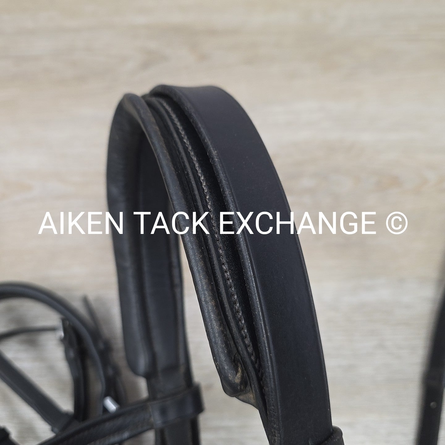 Passier & Sohn Flash Bridle with Cotton Web Reins, Black, Size Full