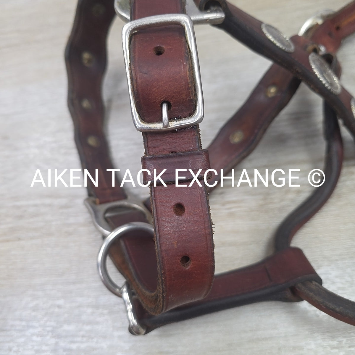 Western Show Halter, Size Full
