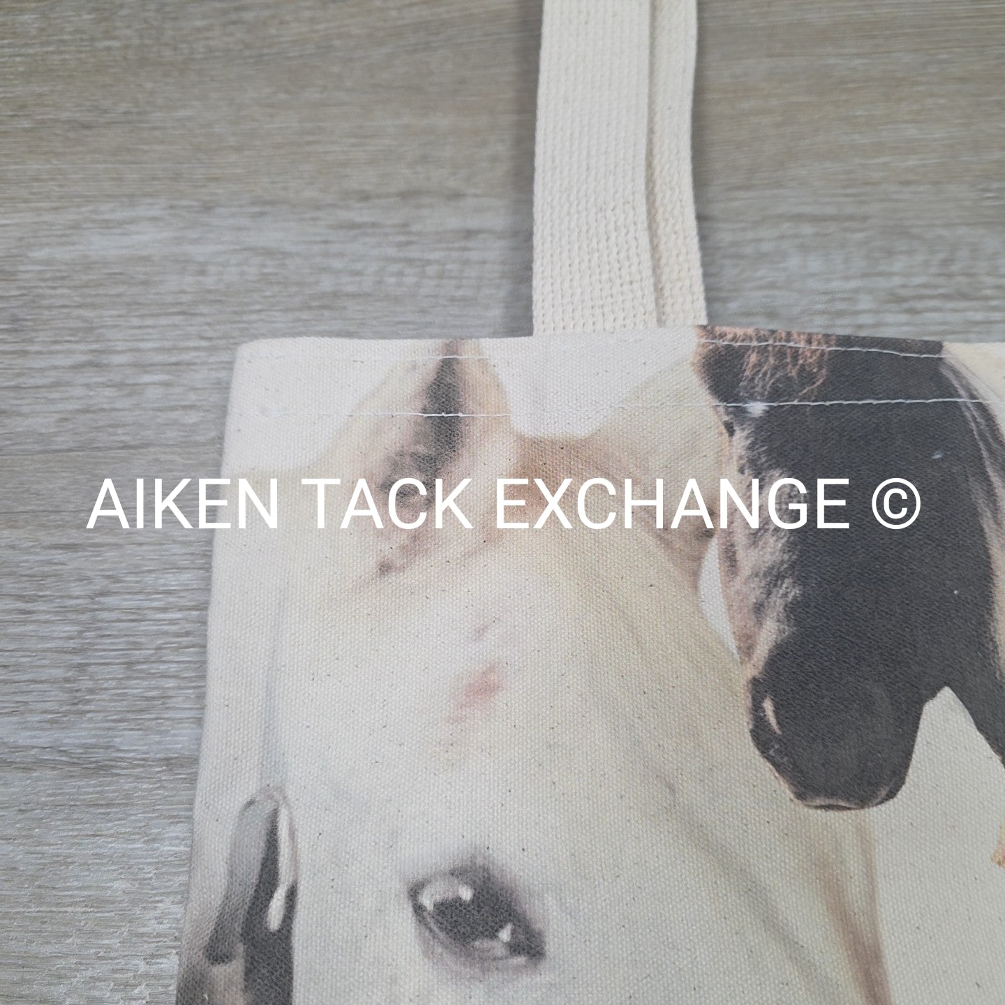 Canvas Tote Bag