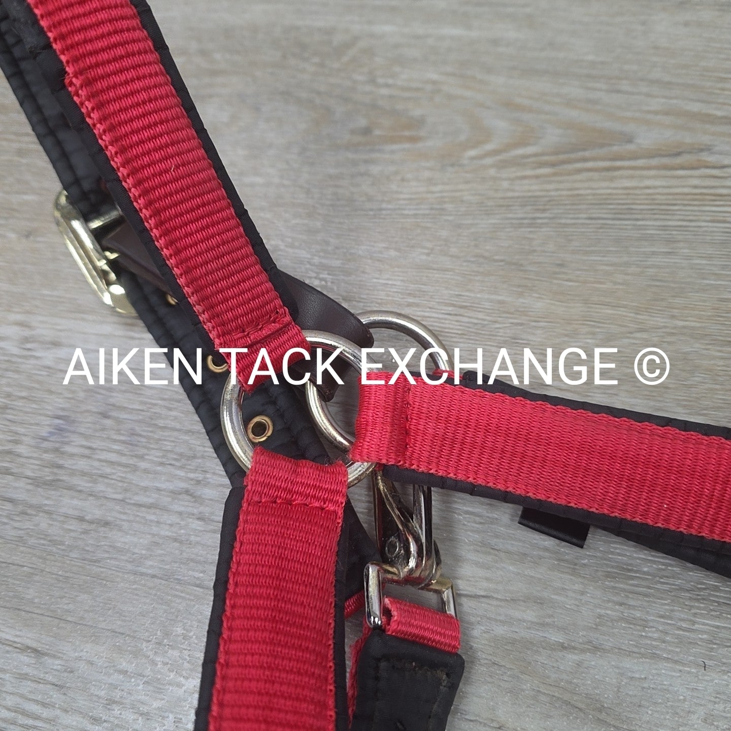 Schneiders Padded Breakaway Halter, Oversize