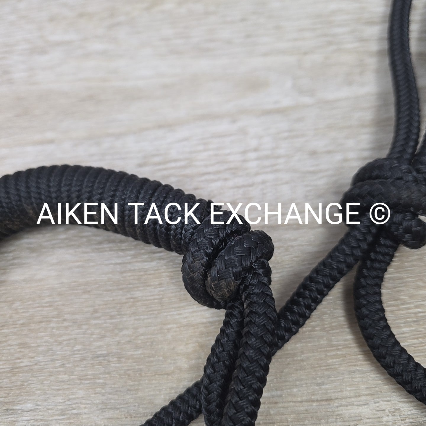 Rope Halter with Lead